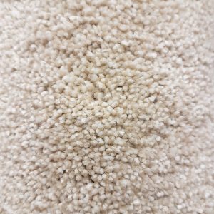 Cream Carpet Remnant