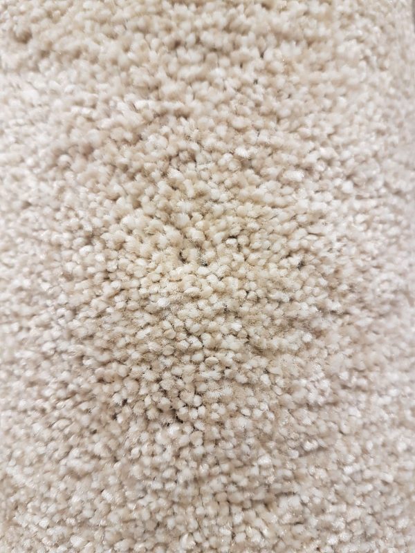 Cream Carpet Remnant
