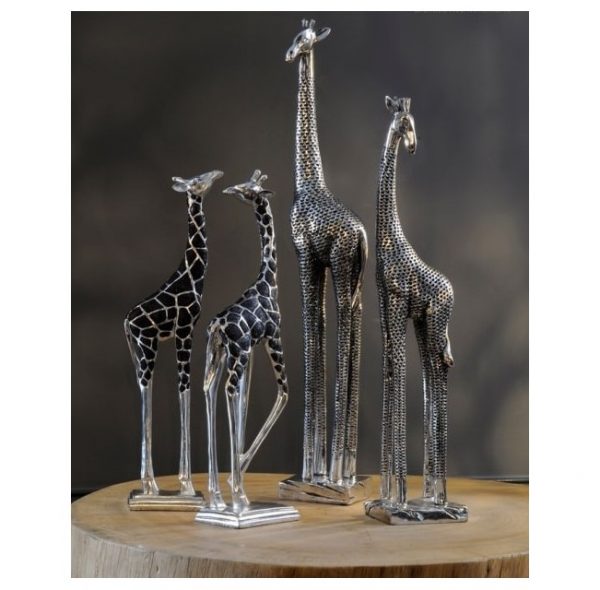 Giraffes