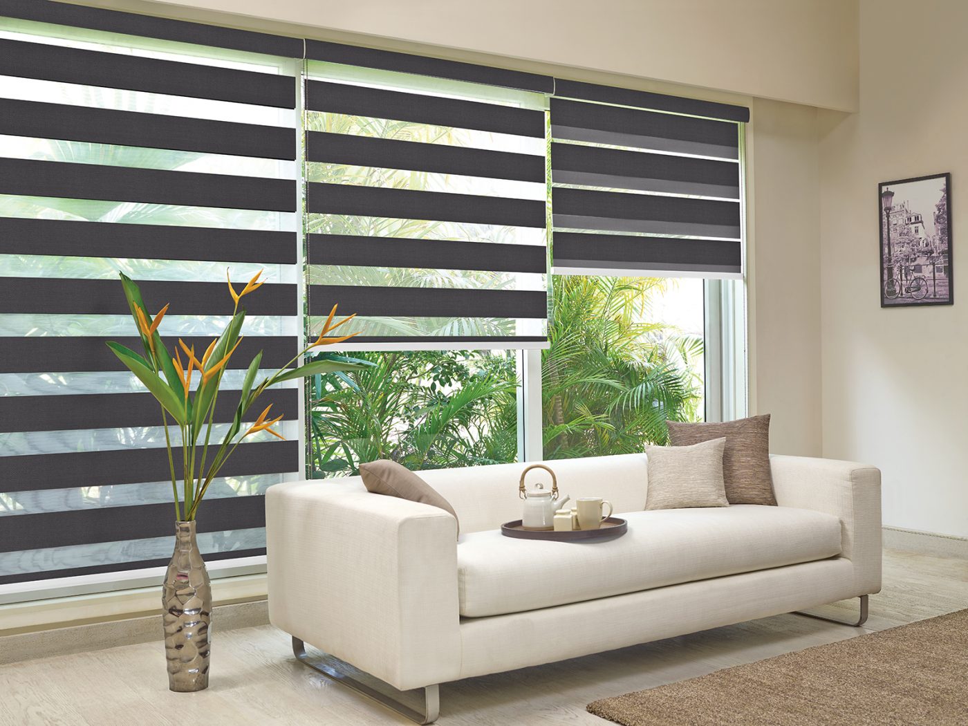 Duorol Blinds