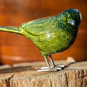 Brushed Lime Bird