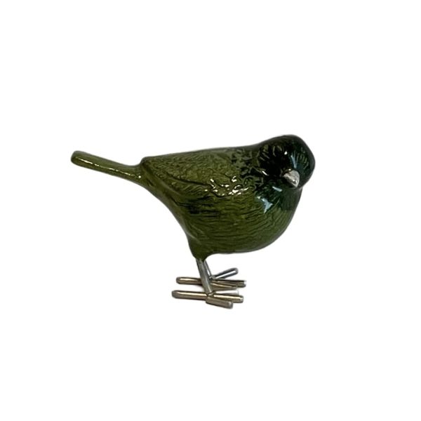 Tilnar green bird