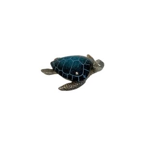 Small Turtle