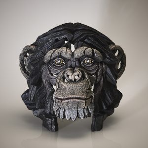 Chimp