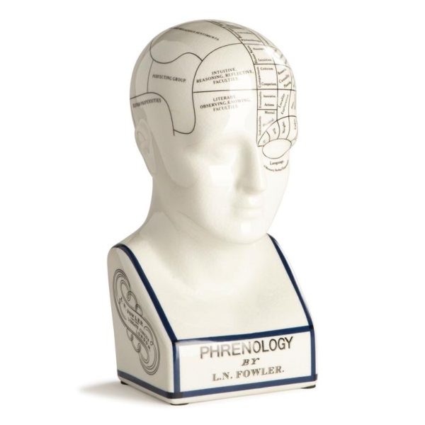 Phrenology Head Small